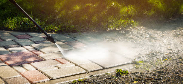 Best House Exterior Washing  in Mendota, IL